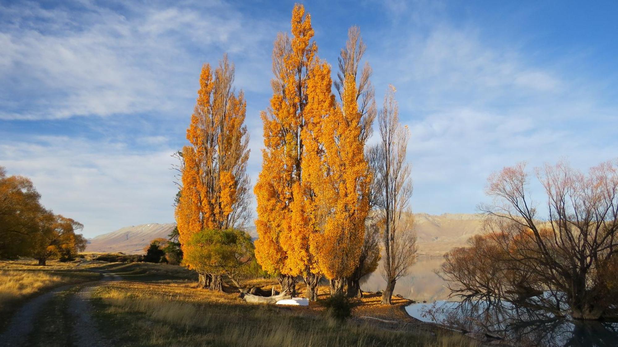 Lake Views At Antler Lodge Лейк Текапо Екстериор снимка
